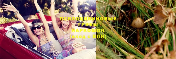 крисы Бердск