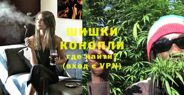 крисы Майский